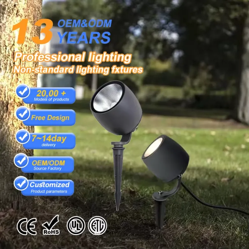 Hot Sale IP65 10W 20W 30W AC D - Outdoor Spotlight 评论和价格